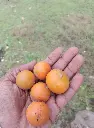 FB_IMG_1747545684619.webp